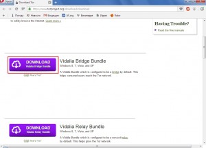 skachat_vidalia_bridge_bundle