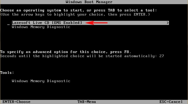lazesoft_live_cd.jpg lazesoft_live_cd.jpg