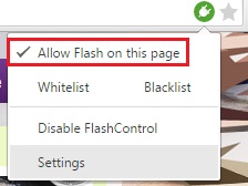 allow_flash_on_page.jpg